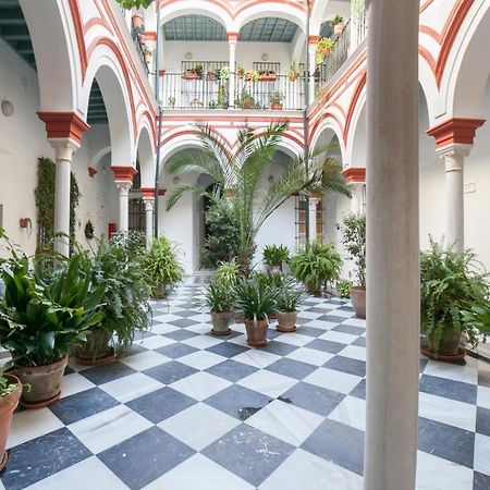 Alohamundi Alfalfa Seville Luaran gambar